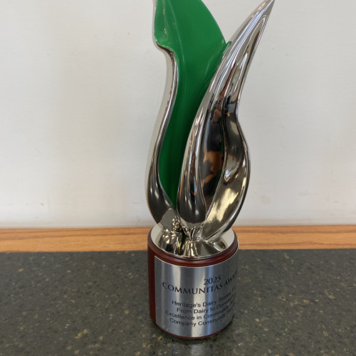 Communitas-Award-thru-Acenda-2